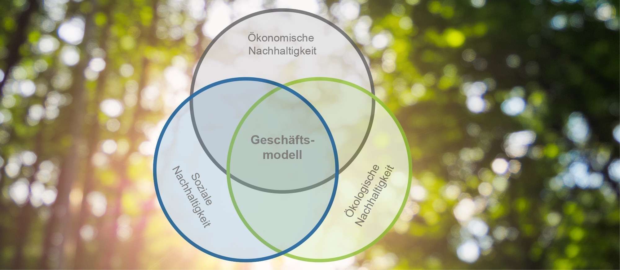 Grafik nachhaltiges Geschäftsmodell über einem Waldbild